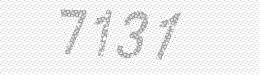 Visual security code — type the characters shown in the image